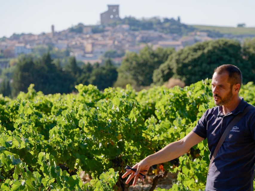 From Avignon: Châteauneuf du Pape Half-Day Wine Tour - The ruined papal residence and its wide views