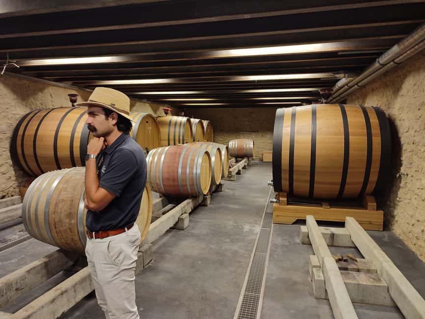 From Avignon: Châteauneuf du Pape Half-Day Wine Tour - Second tasting: a useful contrast