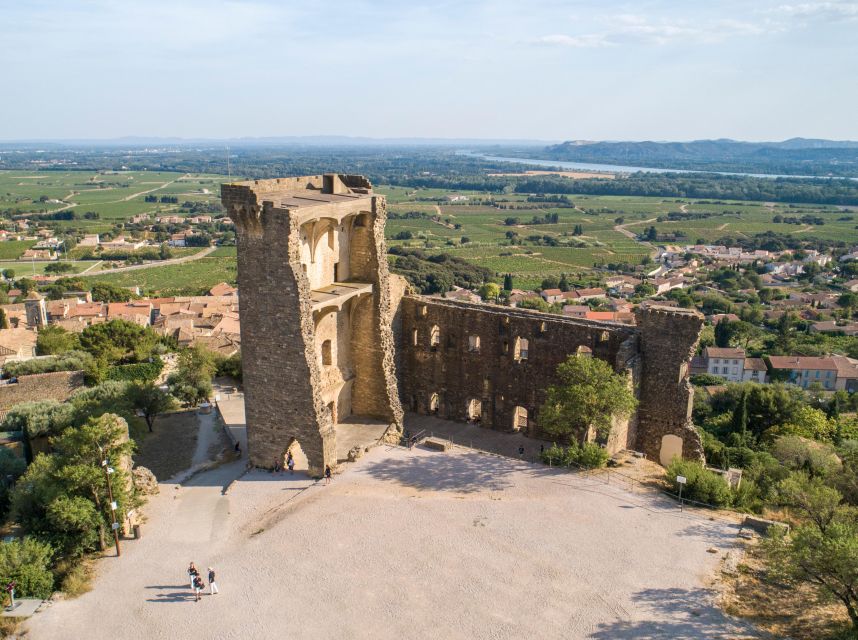 From Avignon: Châteauneuf du Pape Half-Day Wine Tour - Who will enjoy this outing most