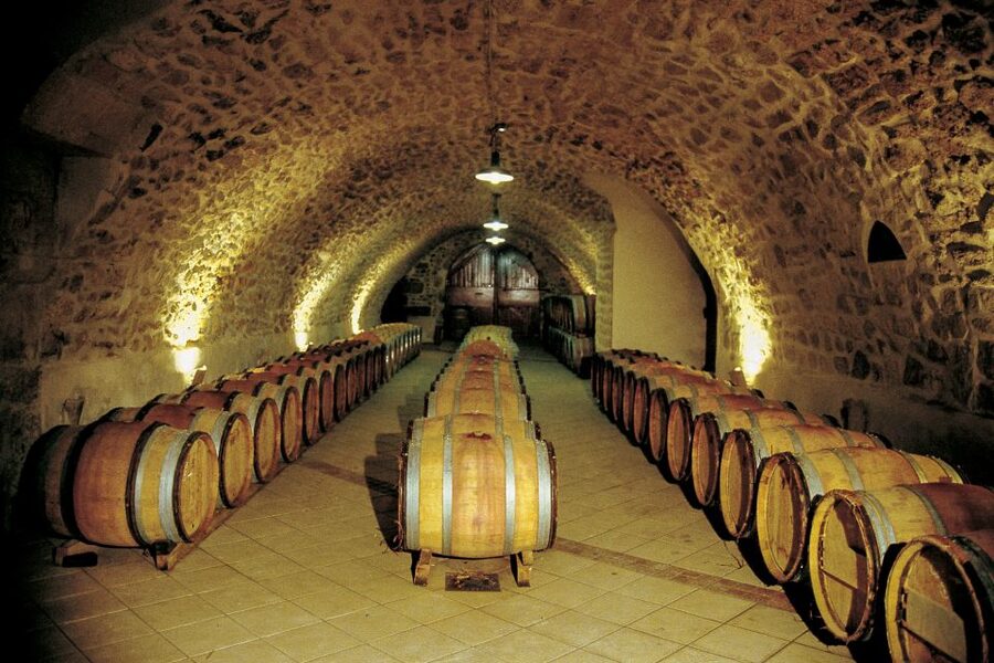 From Avignon: Half-Day Great Vineyards Tour - Is $94 a fair price?