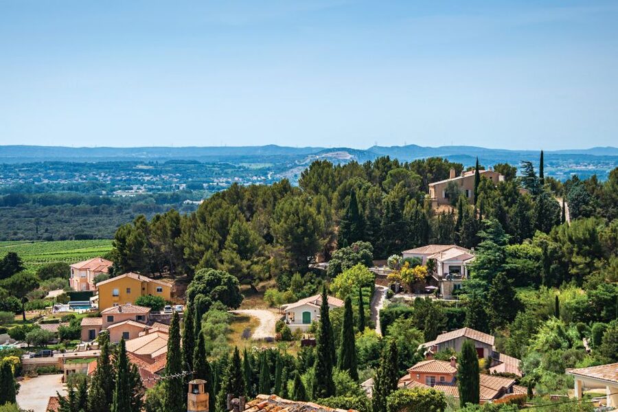 From Avignon: Half-Day Great Vineyards Tour - Simple ways to get more from the tastings