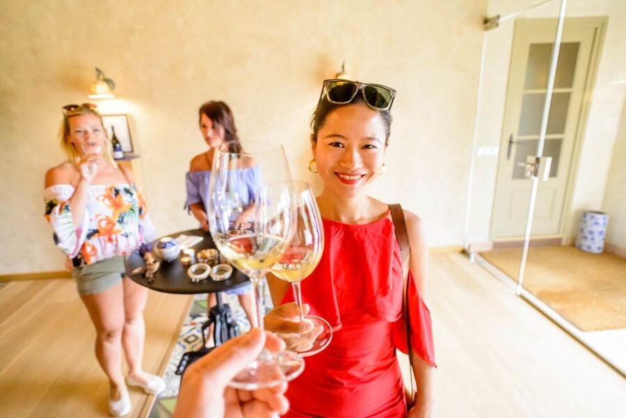 From Barcelona: Penedés Vineyards Tour by 4WD w/Wine & Cava - What you actually taste during the day