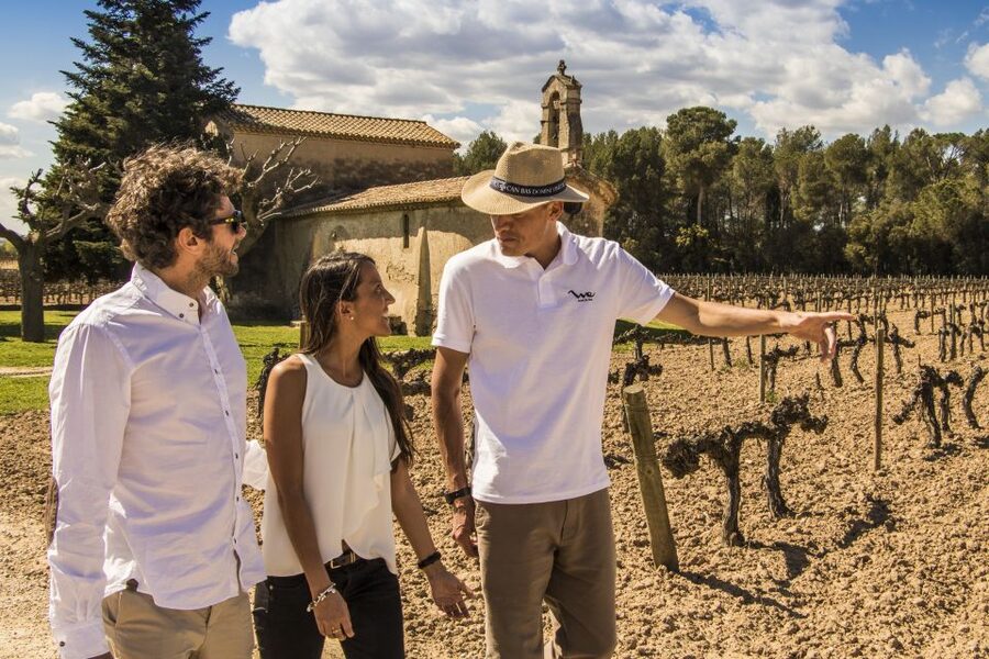 From Barcelona: Penedés Vineyards Tour by 4WD w/Wine & Cava - Is the $85 price good value?