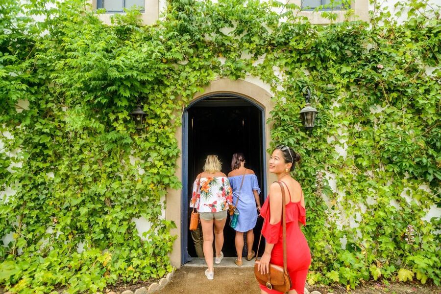 From Barcelona: Penedés Vineyards Tour by 4WD w/Wine & Cava - The guide can make or break the rhythm