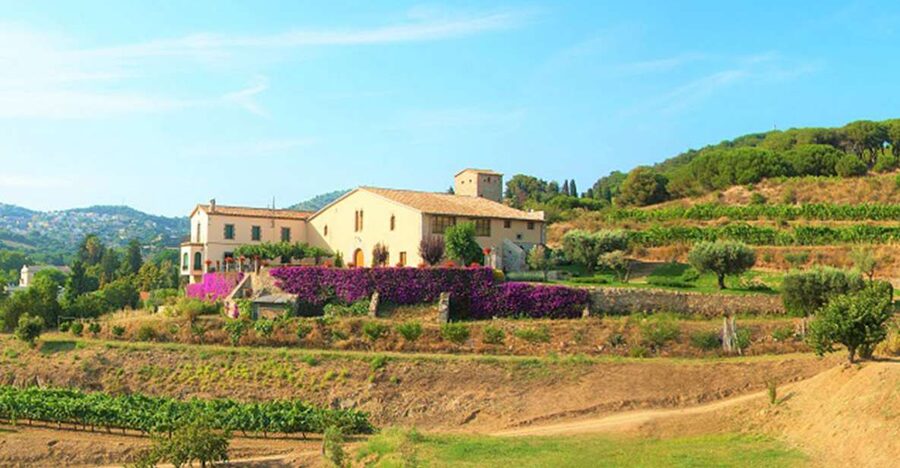 From Barcelona: Private Alella Wine Tour by Electric Bike - Key points to know before booking