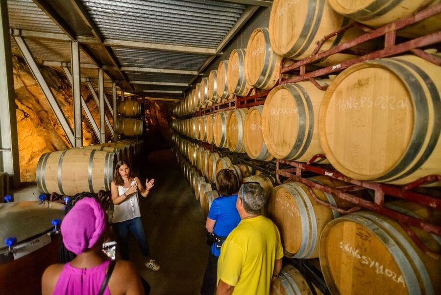 From Barcelona: Private Alella Wine Tour by Electric Bike - Should you book the private Alella wine tour?