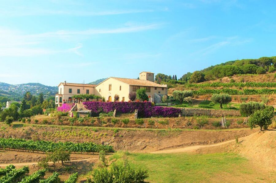 From Barcelona: Private Alella Wine Tour by Electric Bike - From Barcelona’s Gothic Quarter to the Maresme coast