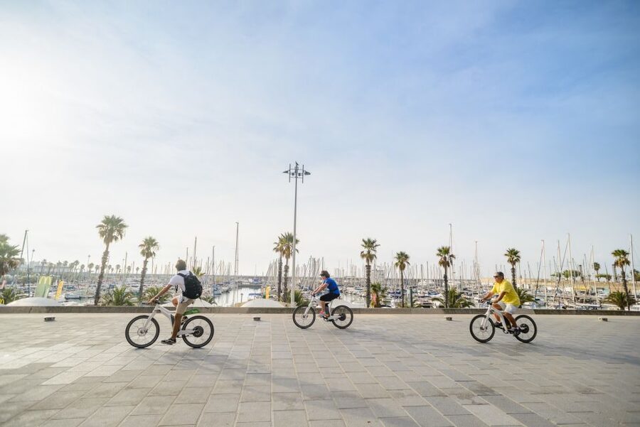 From Barcelona: Private Alella Wine Tour by Electric Bike - Is $294 good value for six hours?