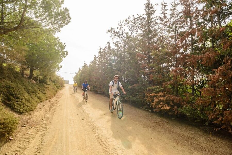 From Barcelona: Private Alella Wine Tour by Electric Bike - Who should book this Alella outing?