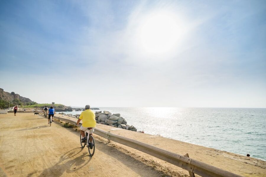 From Barcelona: Private Alella Wine Tour by Electric Bike - Why the electric bike matters on this route