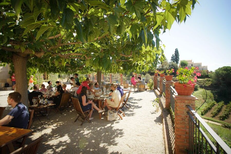 From Barcelona: Sailing and Wine Tasting Experience - What the five-hour schedule feels like