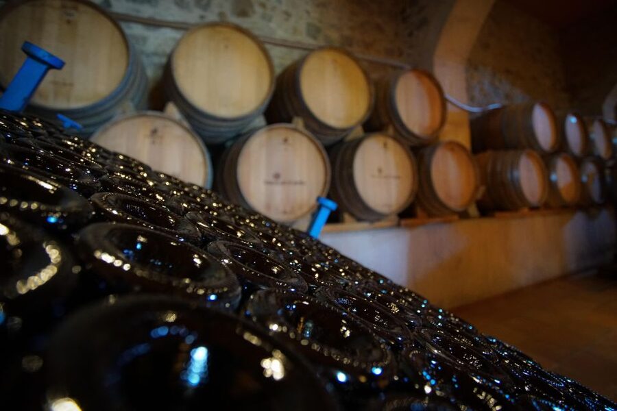 From Barcelona: Sailing and Wine Tasting Experience - Meeting the boat near Barcelona’s harbor