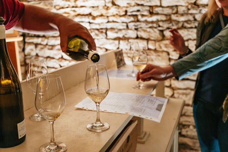 From Beaune: Burgundy Day Trip with 14 Wine Tastings - Why this Beaune wine day works so well