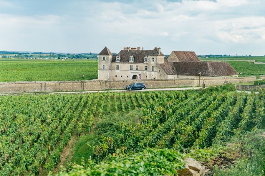 From Beaune: Burgundy Day Trip with 14 Wine Tastings - Starting in Beaune at 9:30 AM