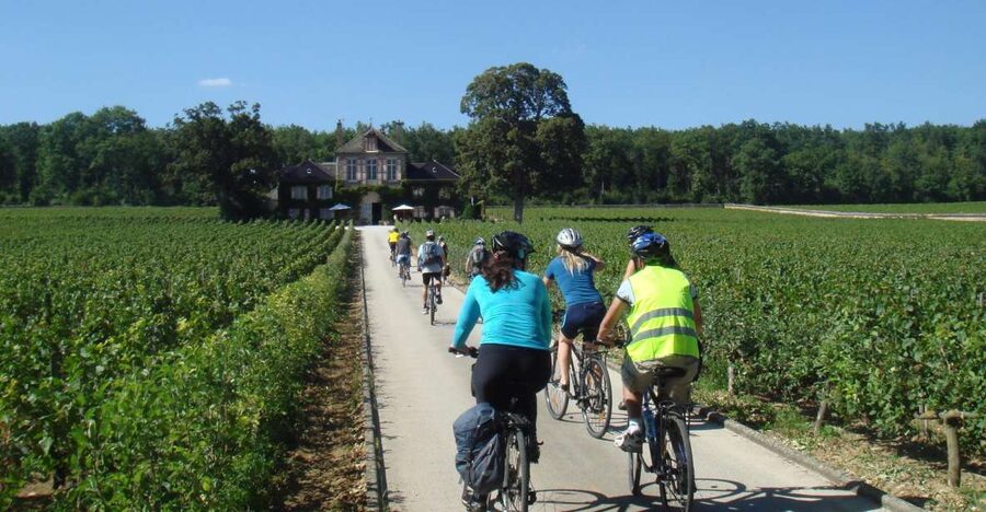 From Beaune: Full-Day Bicycle and Wine Tour in Burgundy - Vineyards, villages, and the first hills