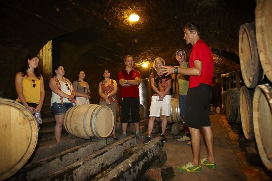 From Beaune: Full-Day Bicycle and Wine Tour in Burgundy - Getting started in Beaune