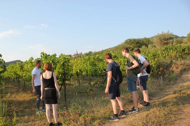 From Berat: Guided Winery Tour with Transfers and Tastings - Why this Berat wine outing works so well