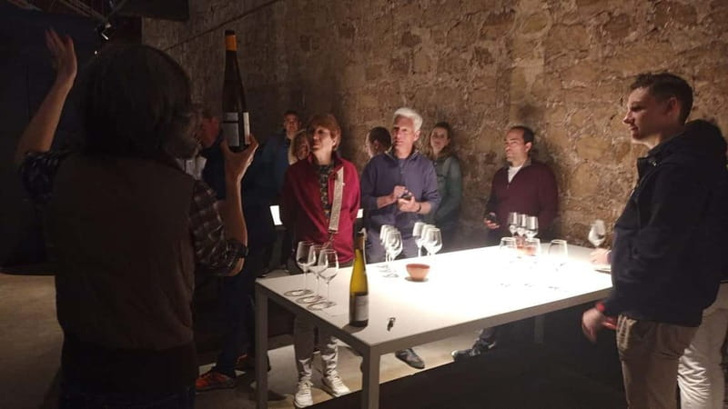 From Bilbao: La Rioja Wineries Day Trip with Wine Tastings - Who should book this Rioja outing?