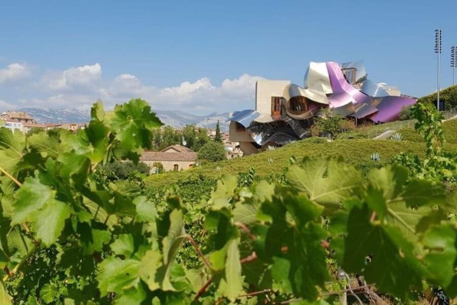 From Bilbao: Rioja Architecture and Wine Tour - From Bilbao to Rioja Alavesa in one full day