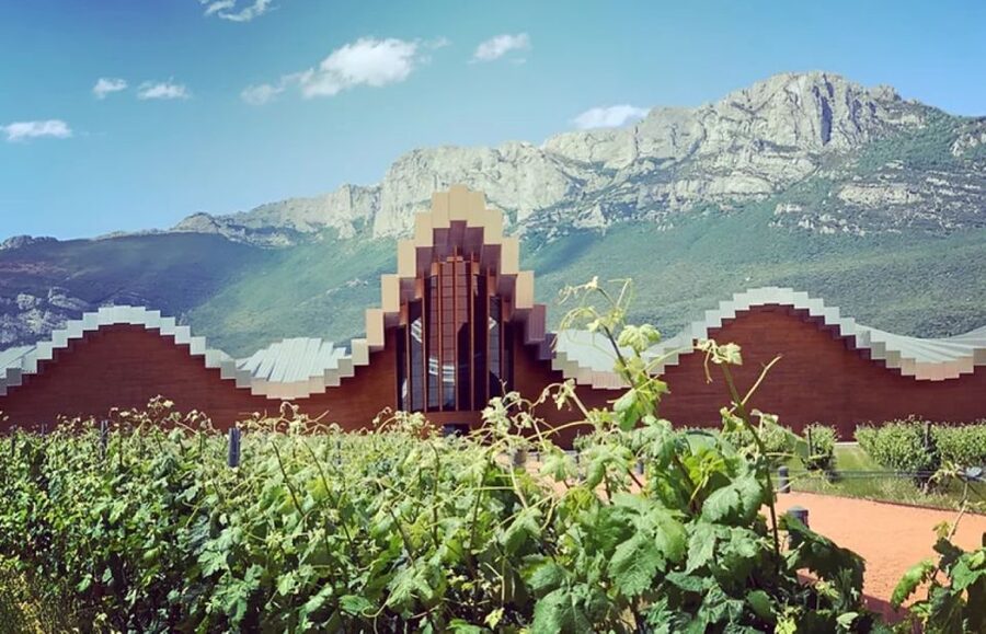 From Bilbao: Rioja Architecture and Wine Tour - Wine tasting with enough variety to matter