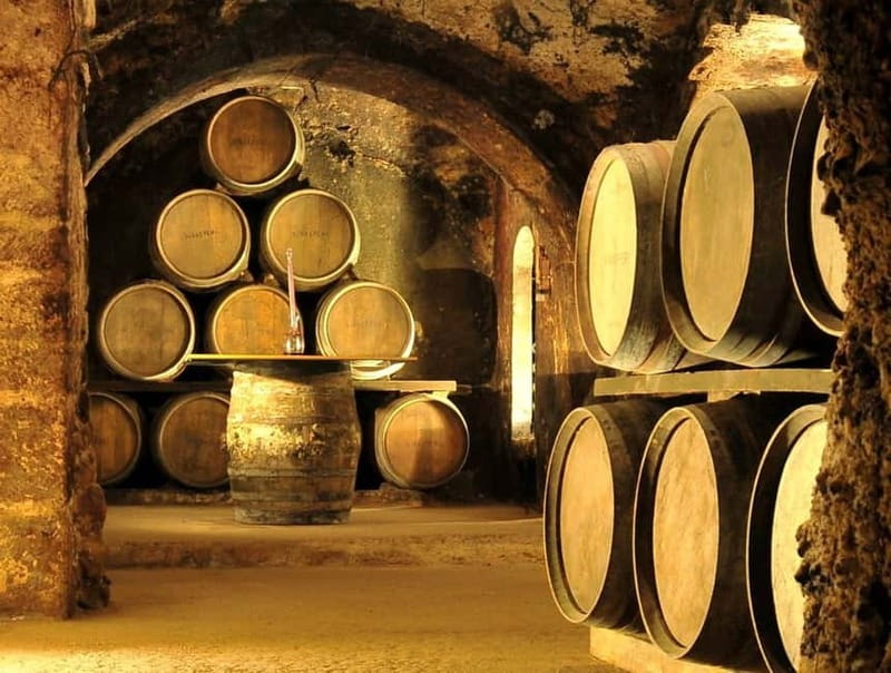 From Bilbao: Rioja Wine Region with Winery & Vitoria-Gasteiz - Key points to know before booking