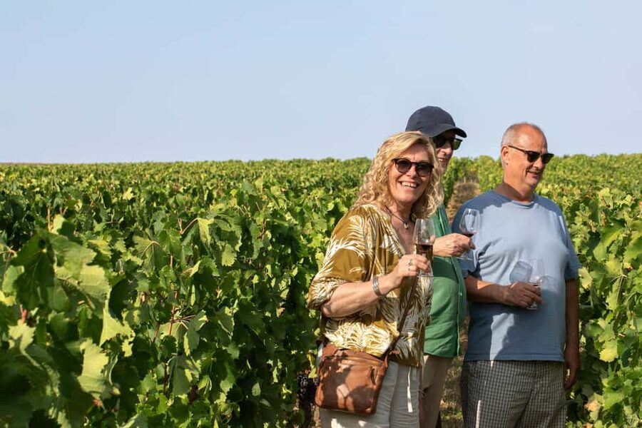 From Bordeaux: Afternoon Saint-Emilion Wine Tasting & snack - Meeting at the Girondins Column