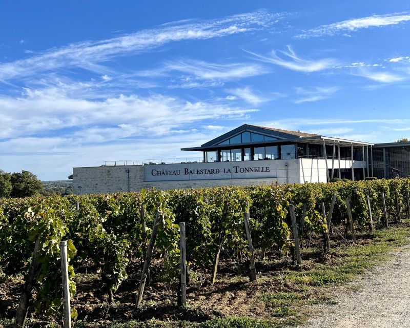 From Bordeaux: Afternoon Saint-Emilion Wine Tasting & snack - Timing, walking, and who should book