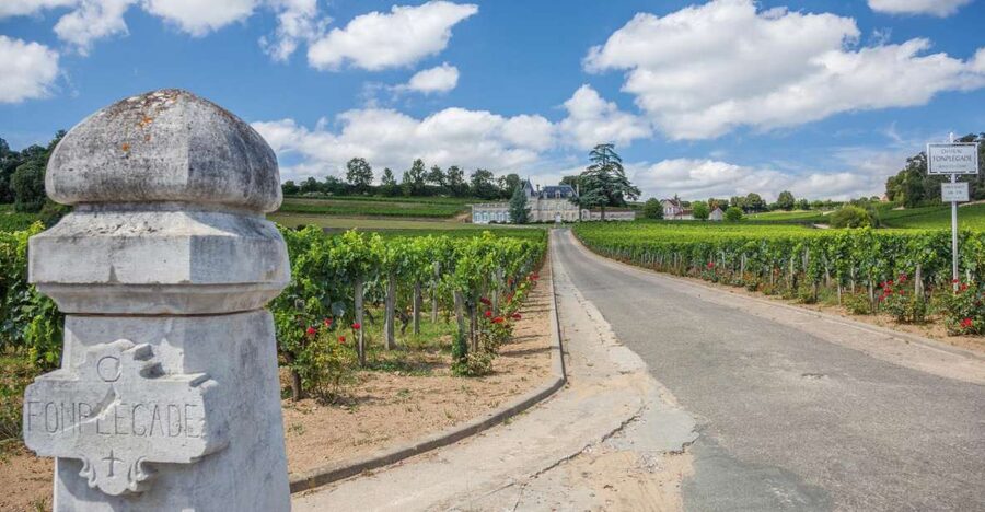 From Bordeaux: Full-Day St Emilion Wine Tasting Tour - Why Saint Emilion makes such a good Bordeaux day trip