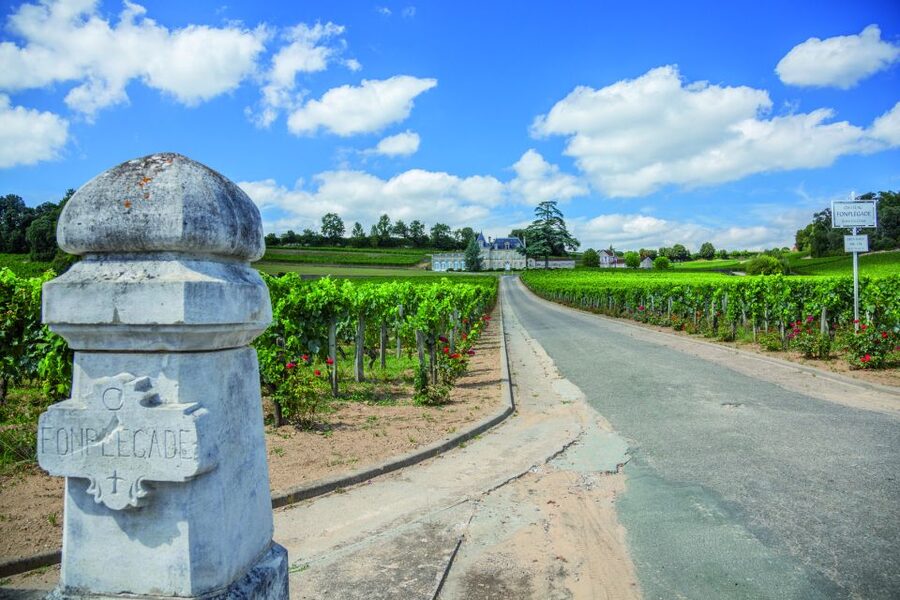 From Bordeaux: Full-Day St Emilion Wine Tasting Tour - The first two chateaux: learn the pattern, then compare