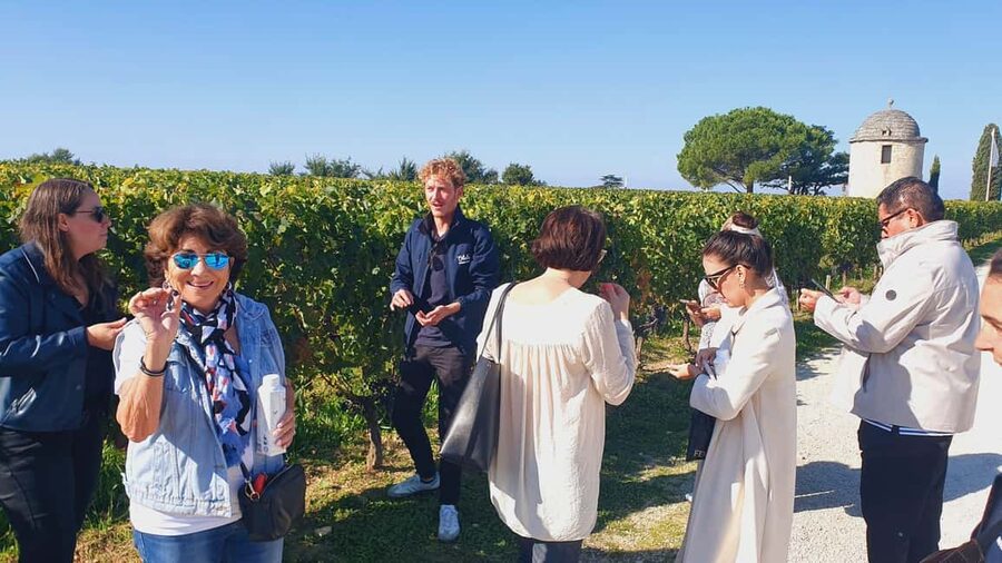 From Bordeaux: Half-Day Saint-Émilion Tour and Wine Tasting - Guide quality and the small-group advantage