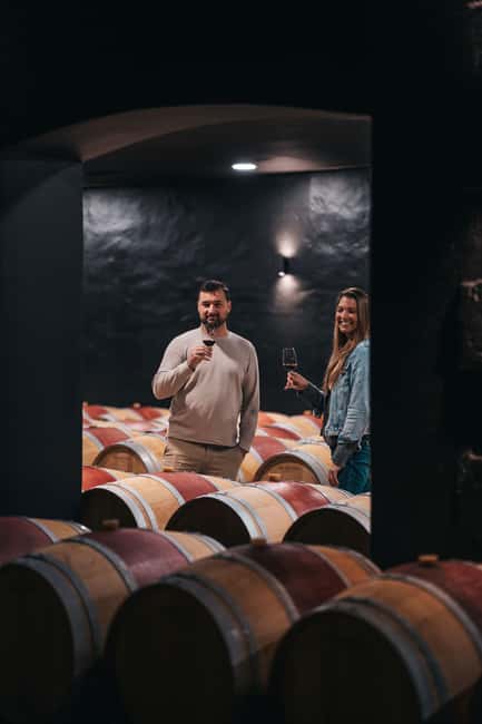 From Bordeaux: Half-Day Saint-Émilion Tour and Wine Tasting - The ride into the Saint-Émilion wine country