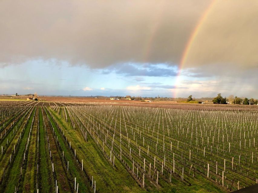 From Bordeaux: Half-Day Saint-Emilion Wine Tour - Key points to know before booking