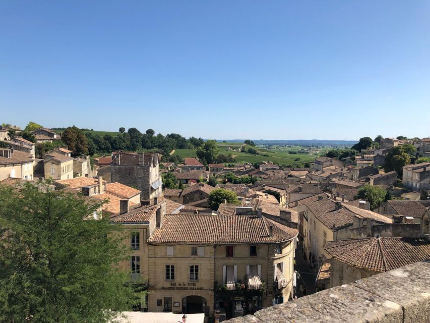 From Bordeaux: Half-Day Saint-Emilion Wine Tour - The château visit and eight-wine tasting