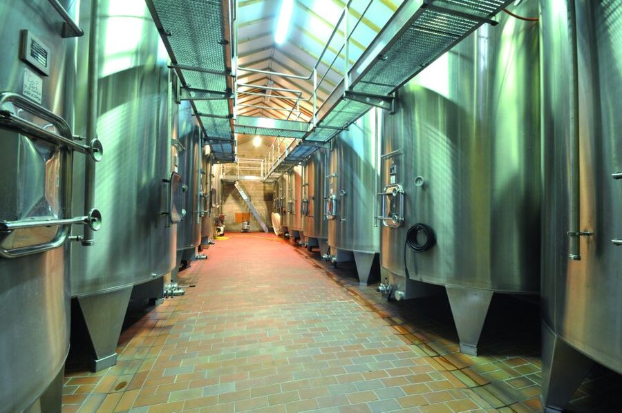 From Bordeaux: Medoc Half-Day Wine Tour - First estate: a full visit before the tasting