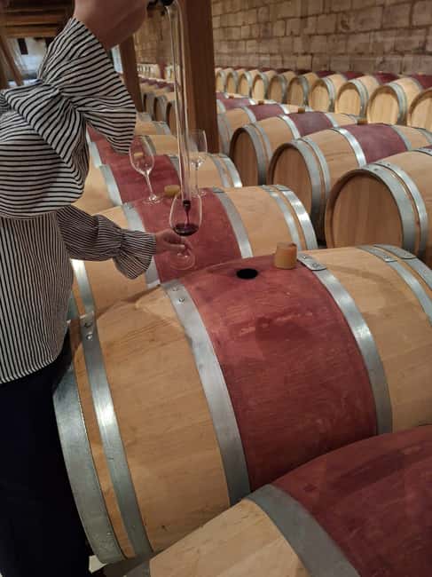 From Bordeaux: Medoc Wineries Tour with Tastings - The 1855 Classified Growth château