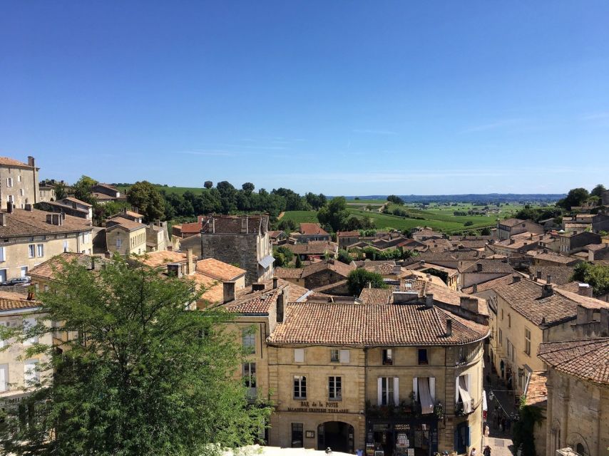 From Bordeaux: Saint-Emilion Guided Wine Tasting Tour - The guide can shape the whole afternoon