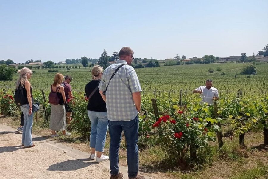 From Bordeaux: Saint-Emilion Guided Wine Tasting Tour - Walking, weather, and other practical details