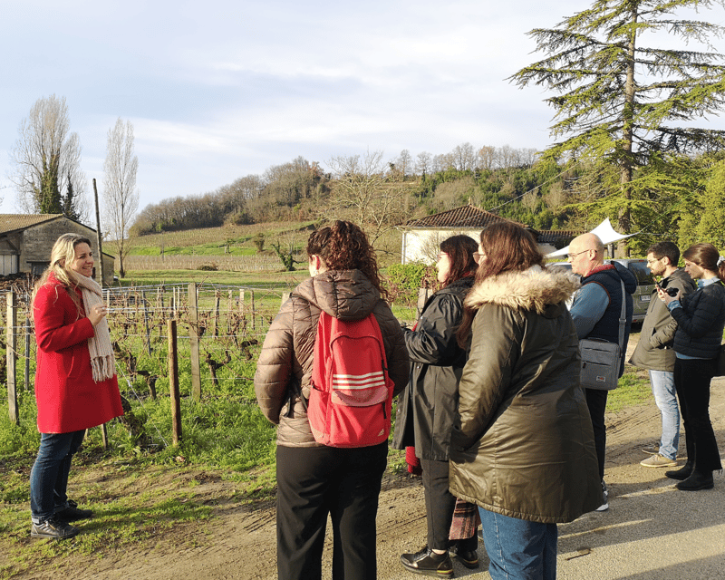 From Bordeaux: Saint-Émilion Half-Day Tour with Wine Tasting - Key points at a glance
