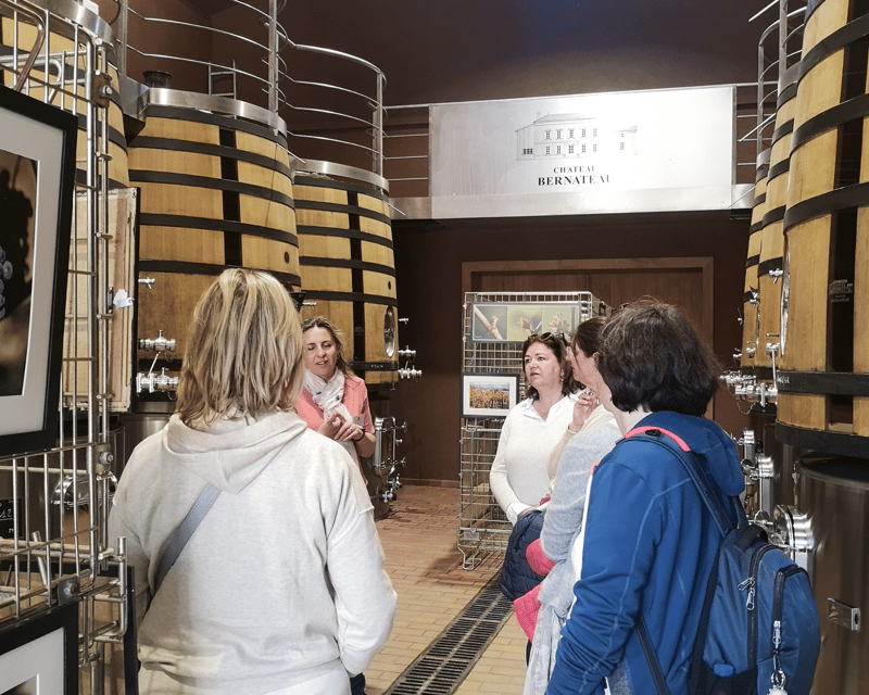 From Bordeaux: Saint-Émilion Half-Day Tour with Wine Tasting - Walking through Saint-Émilion’s medieval center