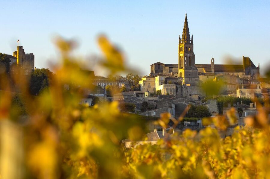 From Bordeaux: St. Emilion Village Half-Day Wine Tour - Should you book the Saint-Émilion half-day tour?