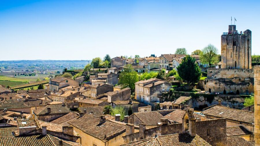 From Bordeaux: St. Emilion Village Half-Day Wine Tour - Practical advice for a smoother afternoon