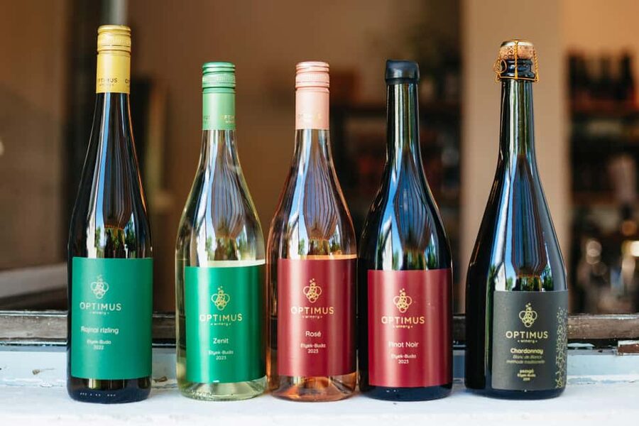 From Budapest: Half-Day Countryside Wine Tour with Meal - Who should book this Etyek outing