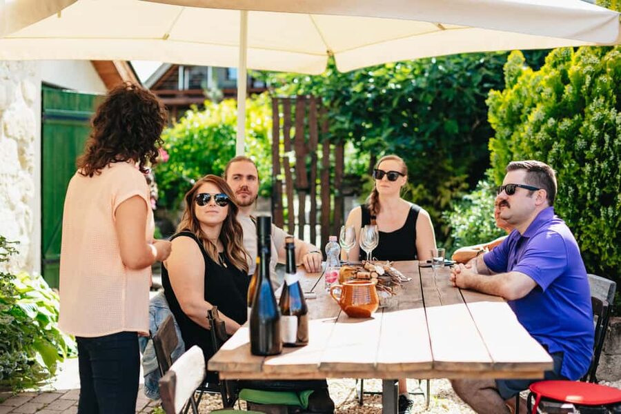 From Budapest: Half-Day Countryside Wine Tour with Meal - The minibus pickup and the road to the vineyards