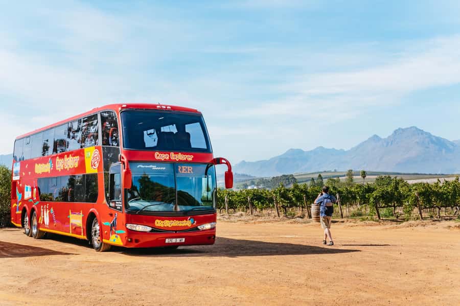 From Cape Town: 3 Regions Wine Tour with 3 Estates, 15 Wines - Why this tour works for a first Cape Winelands day