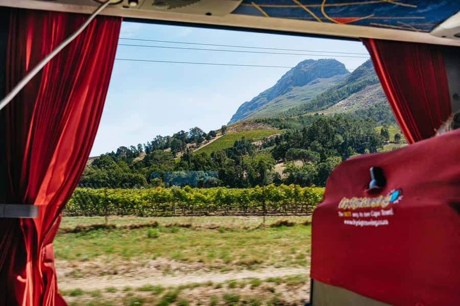 From Cape Town: 3 Regions Wine Tour with 3 Estates, 15 Wines - Lunch in Franschhoek: the one extra cost