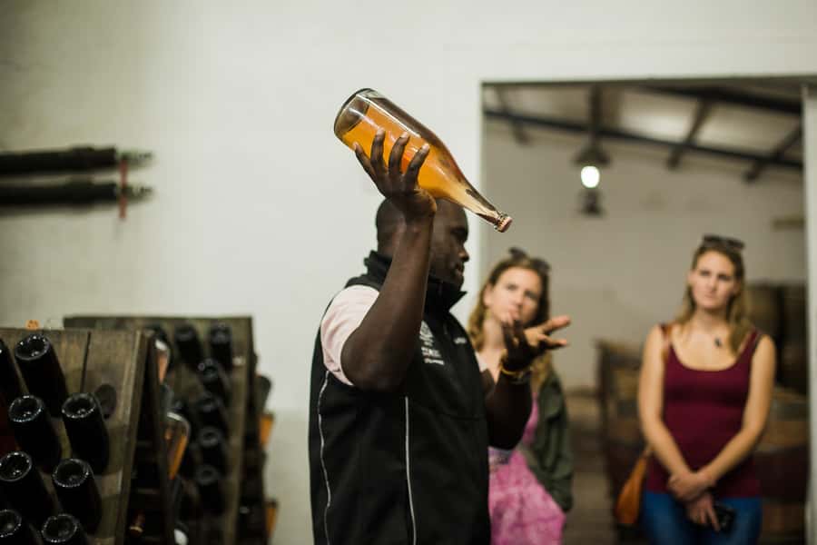 From Cape Town: Stellenbosch Four Estate Full-Day Wine Tour - Cheese, biltong, chocolate, and lunch