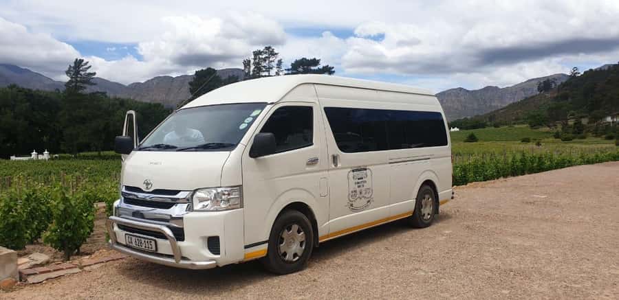 From Cape Town: Stellenbosch Four Estate Full-Day Wine Tour - Who will enjoy it most?