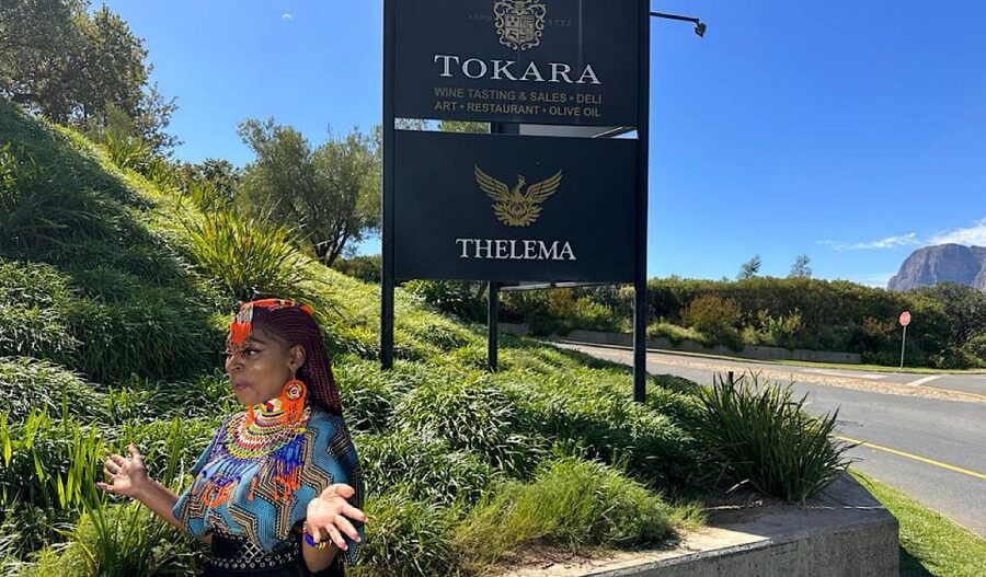 From Cape Town: Stellenbosch & Franschhoek Wine Tasting Tour - Choosing among the three packages