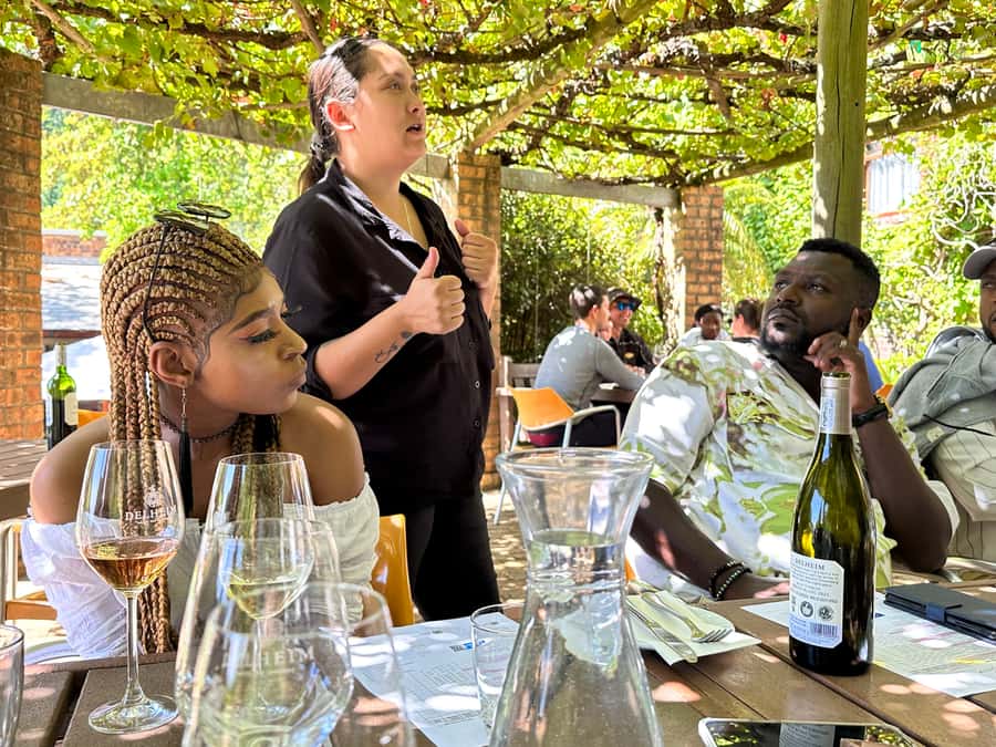 From Cape Town: Stellenbosch & Franschhoek Wine Tasting Tour - What the guide adds to the day