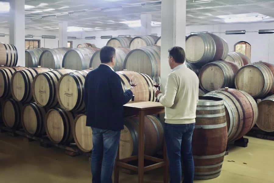 From Cape Town: Winelands Full Day Tour and Wine Tasting - Franschhoek and the open-side tram